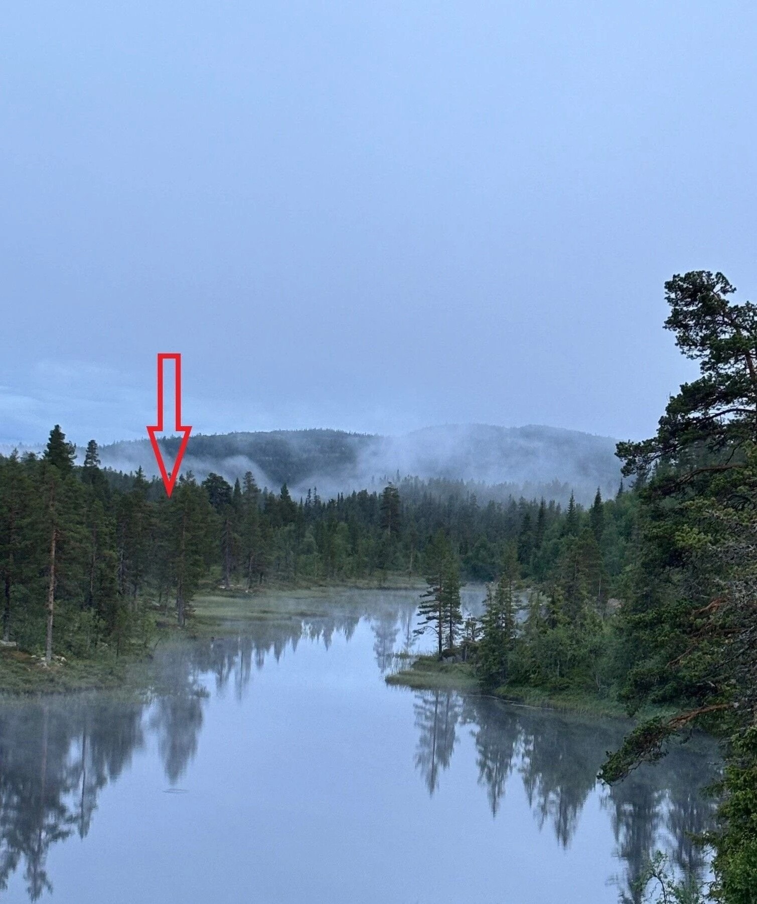 Tomt markert. Vakkert landskap! Galleribilde