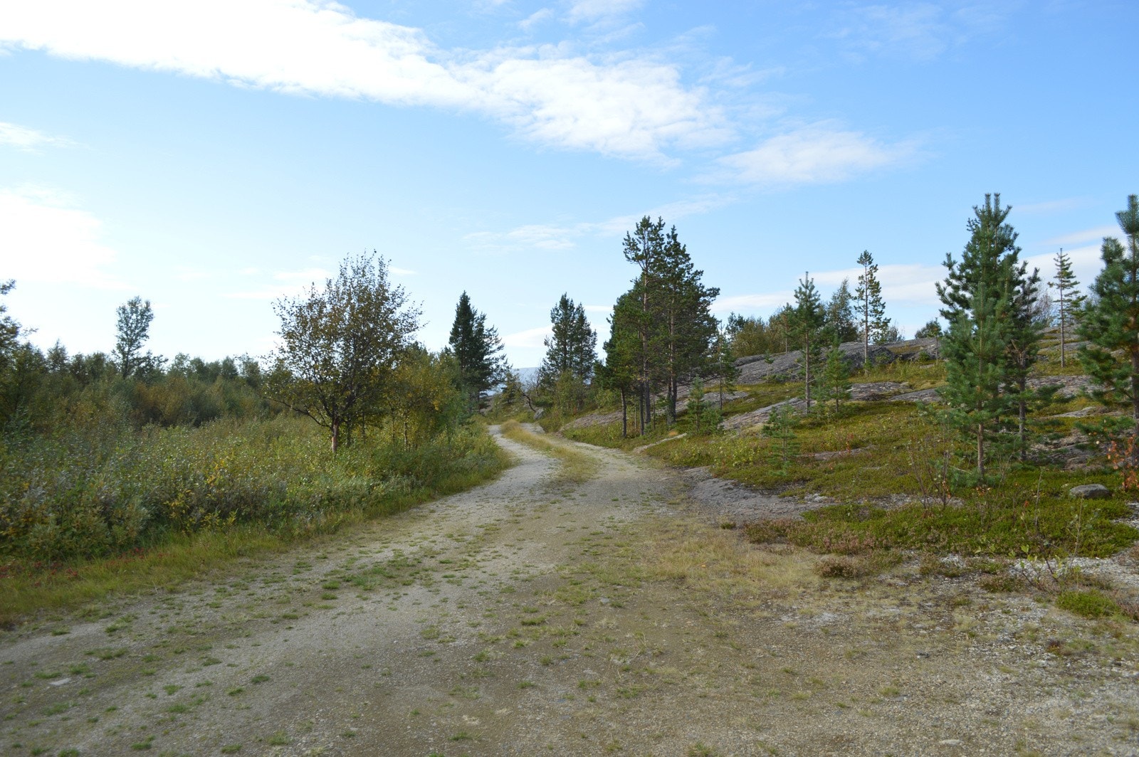 Vei fra hytta Galleribilde