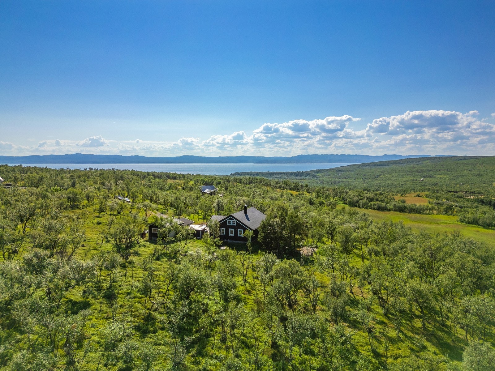 Oversiktsbilde Galleribilde