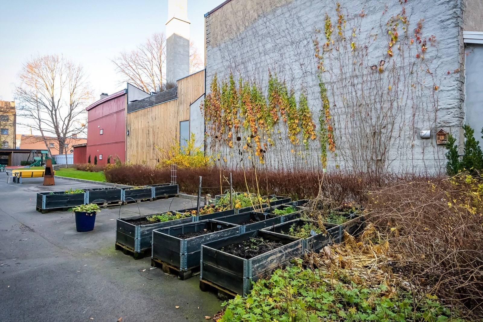 Hyggelig bakgård med sittegrupper, lekeplass, utegrill og mulighet for planting av urter i felles plantekasser Galleribilde