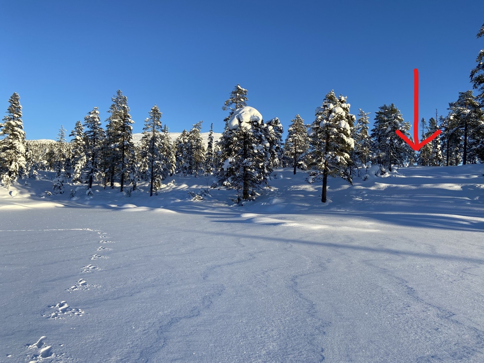 En flott tomt! Galleribilde