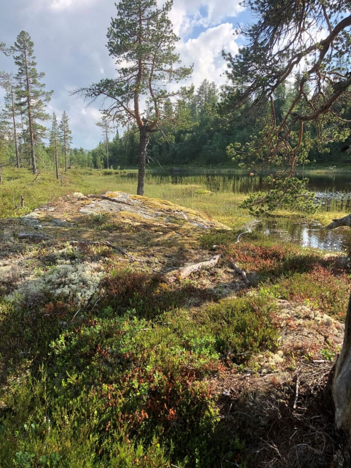Knaus rett nedenfor tomta. Ta med kaffekoppen eller fiskestanga! Galleribilde
