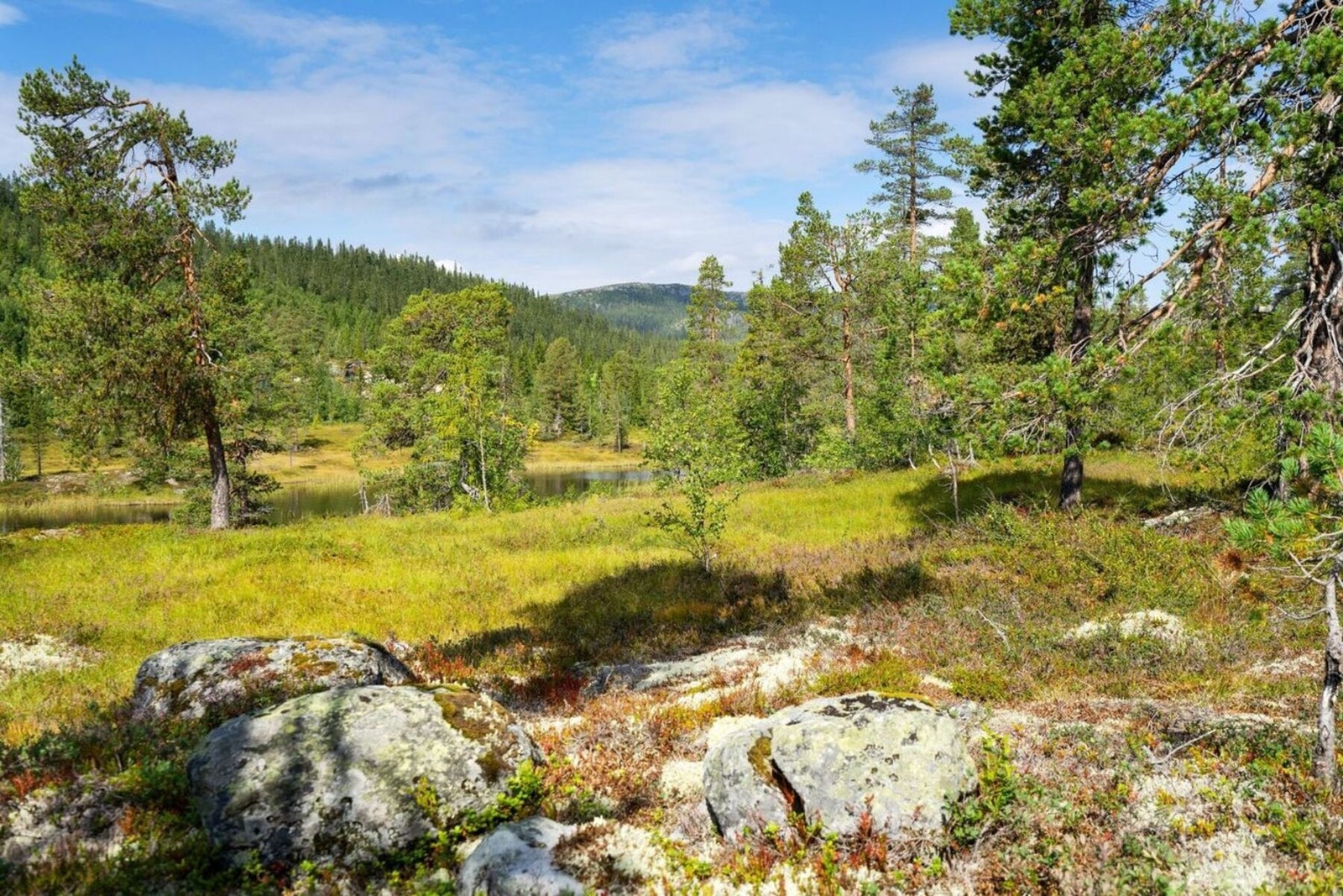 Mot nordvest rett ved tomtegrensen, ca 50 meter fra Breiløk vannet. Galleribilde
