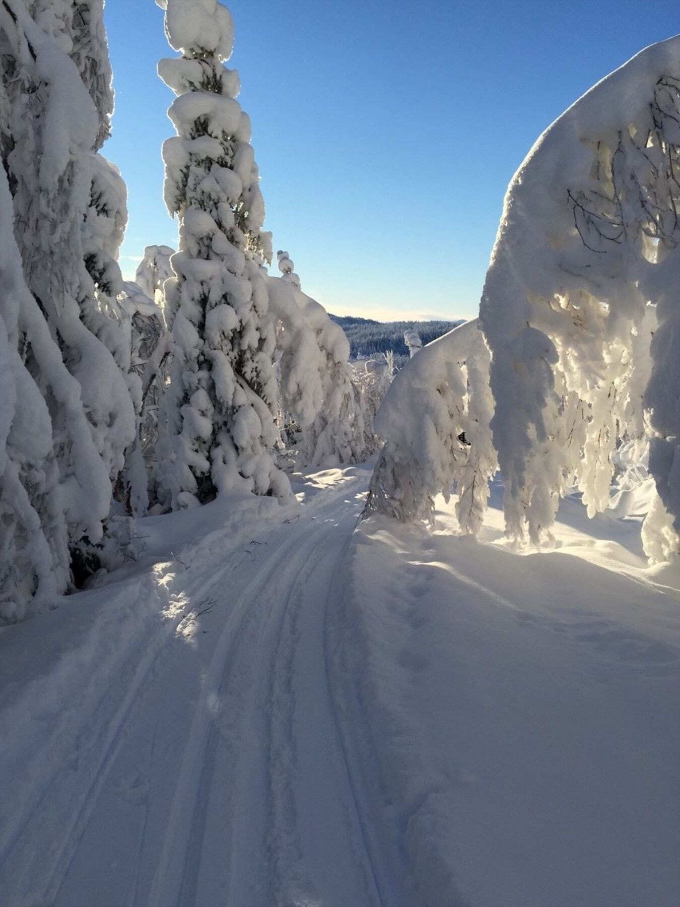 VInterstemning! Galleribilde