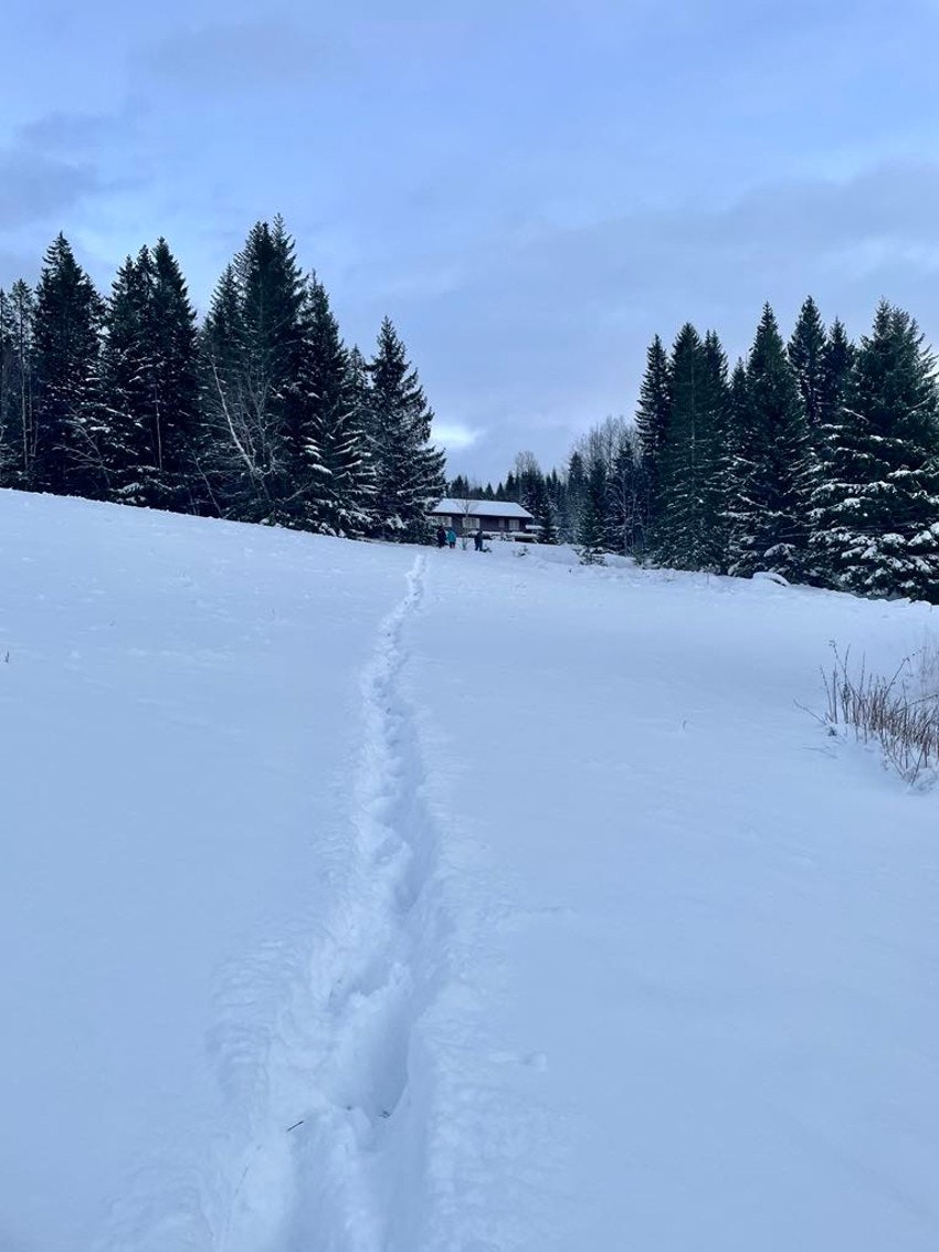 Stemningsbilde tatt av selger. Galleribilde