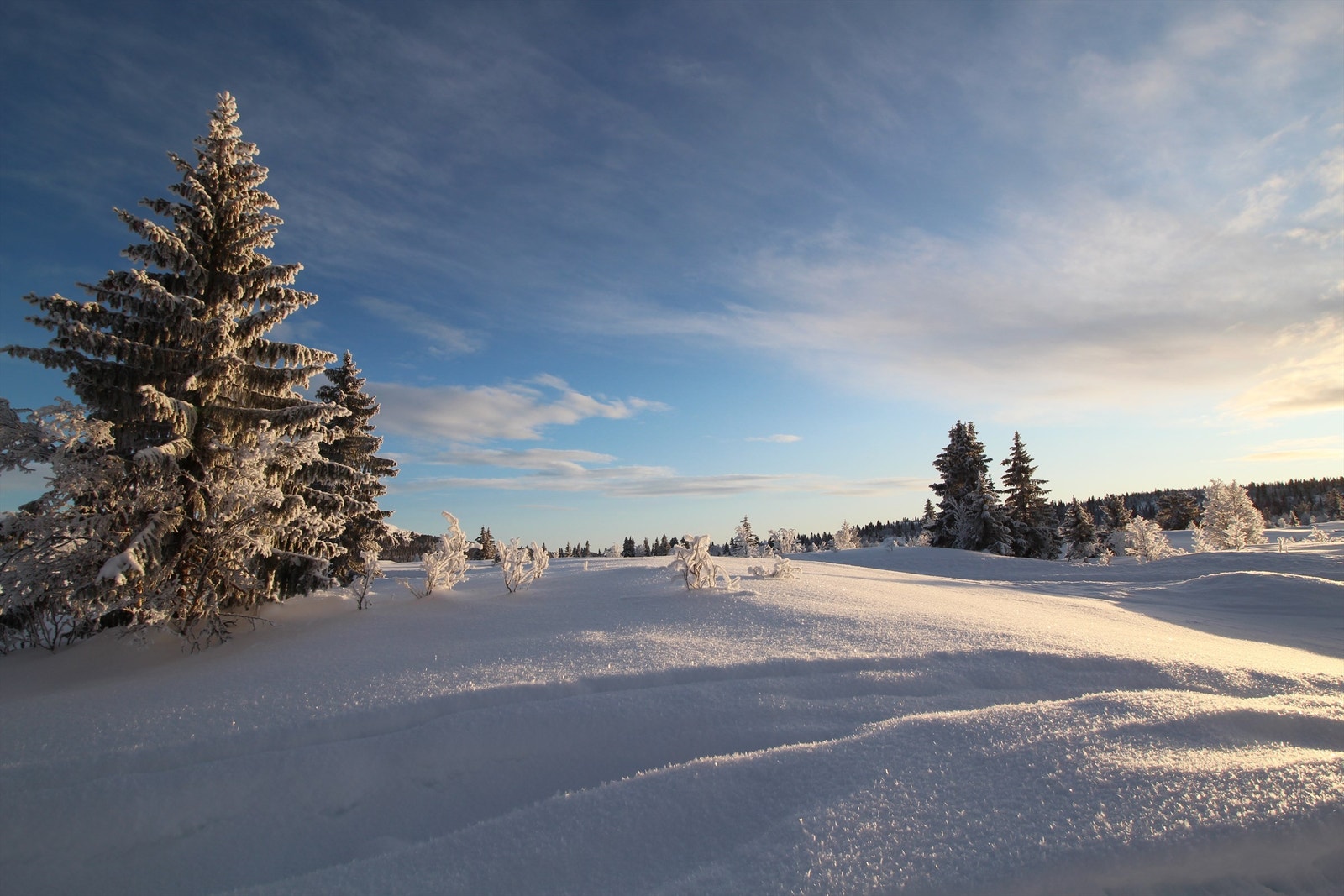Selgers stemningsbilder av området. Galleribilde
