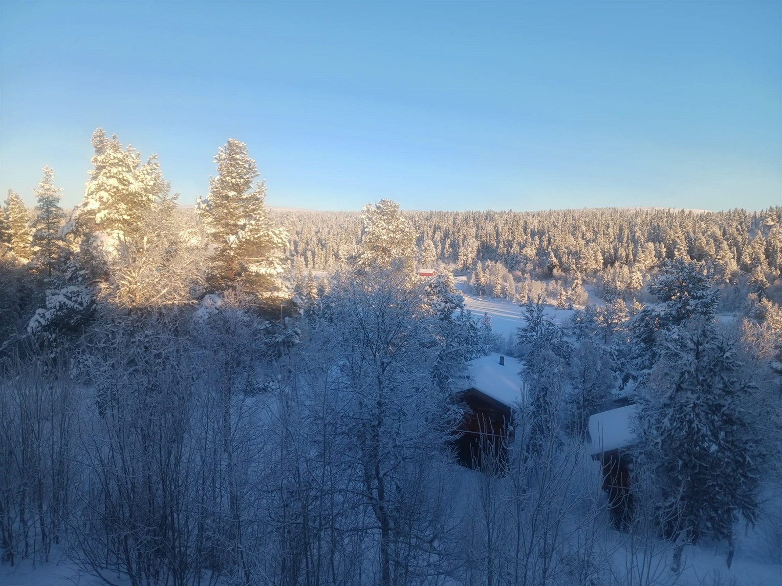 Stemningsbilder vinter. Galleribilde