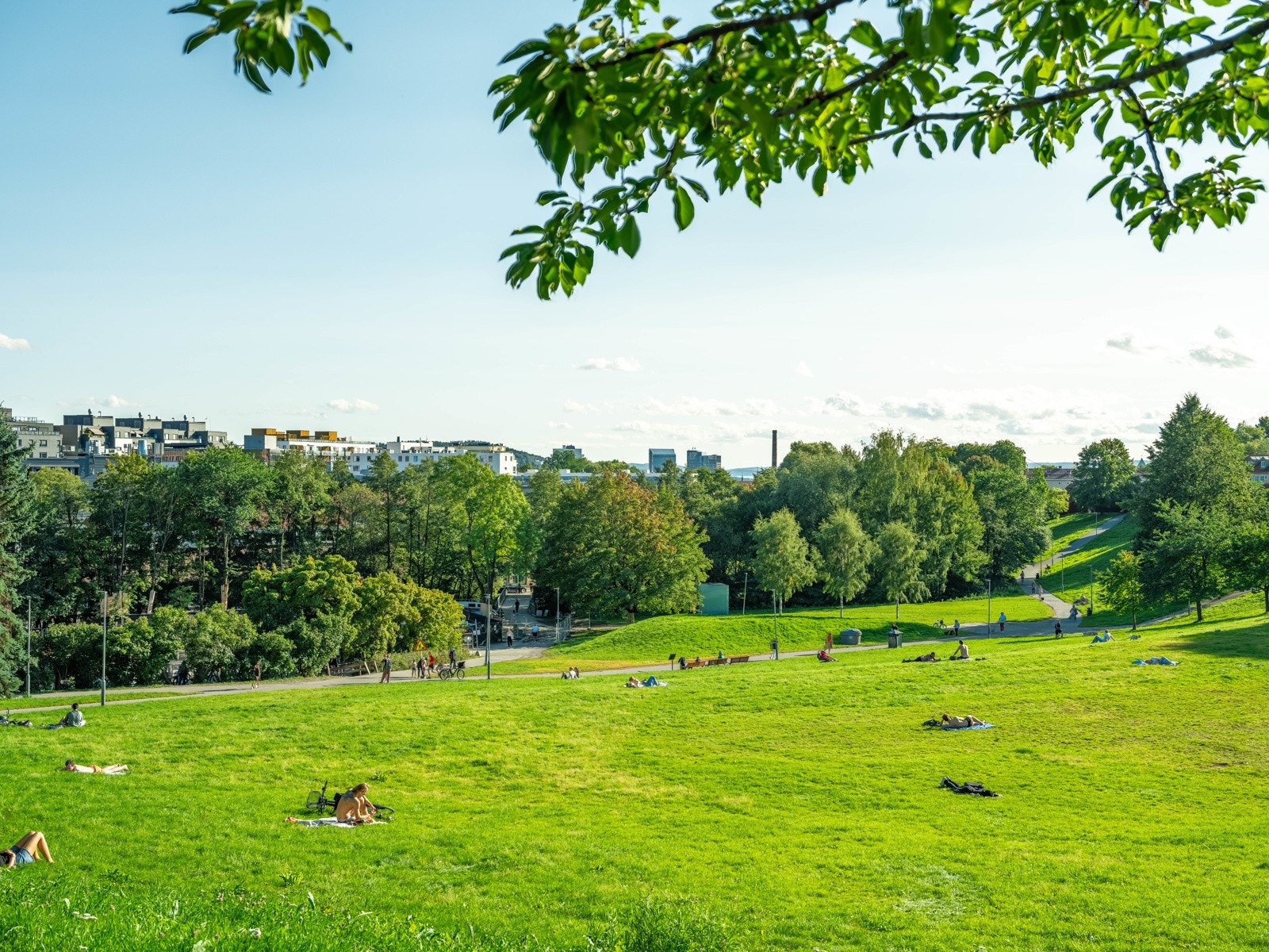 Rett nedenfor leiligheten ligger herlige Myraløkka. Galleribilde