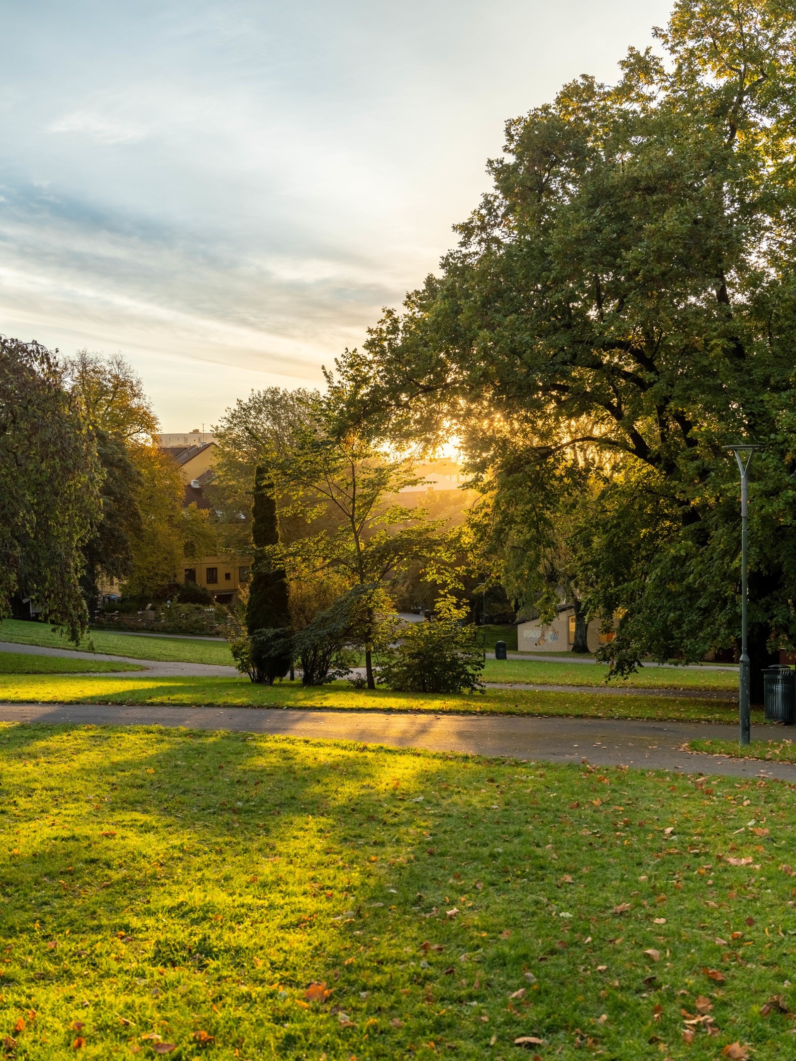 Et herlig tilholdssted uansett årstid. Galleribilde