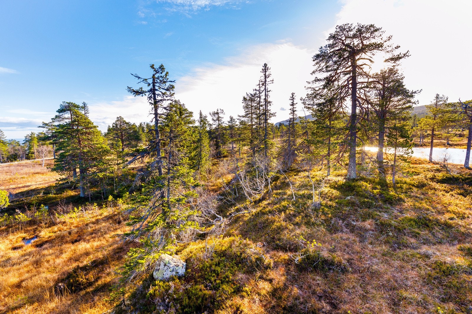 Tomten er på ca. 2075m2. Galleribilde