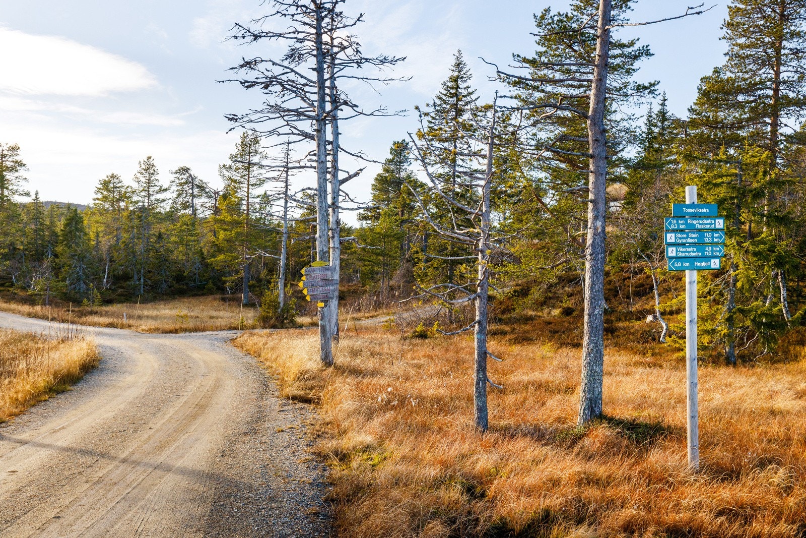 Skiløyper like ved tomta! Galleribilde