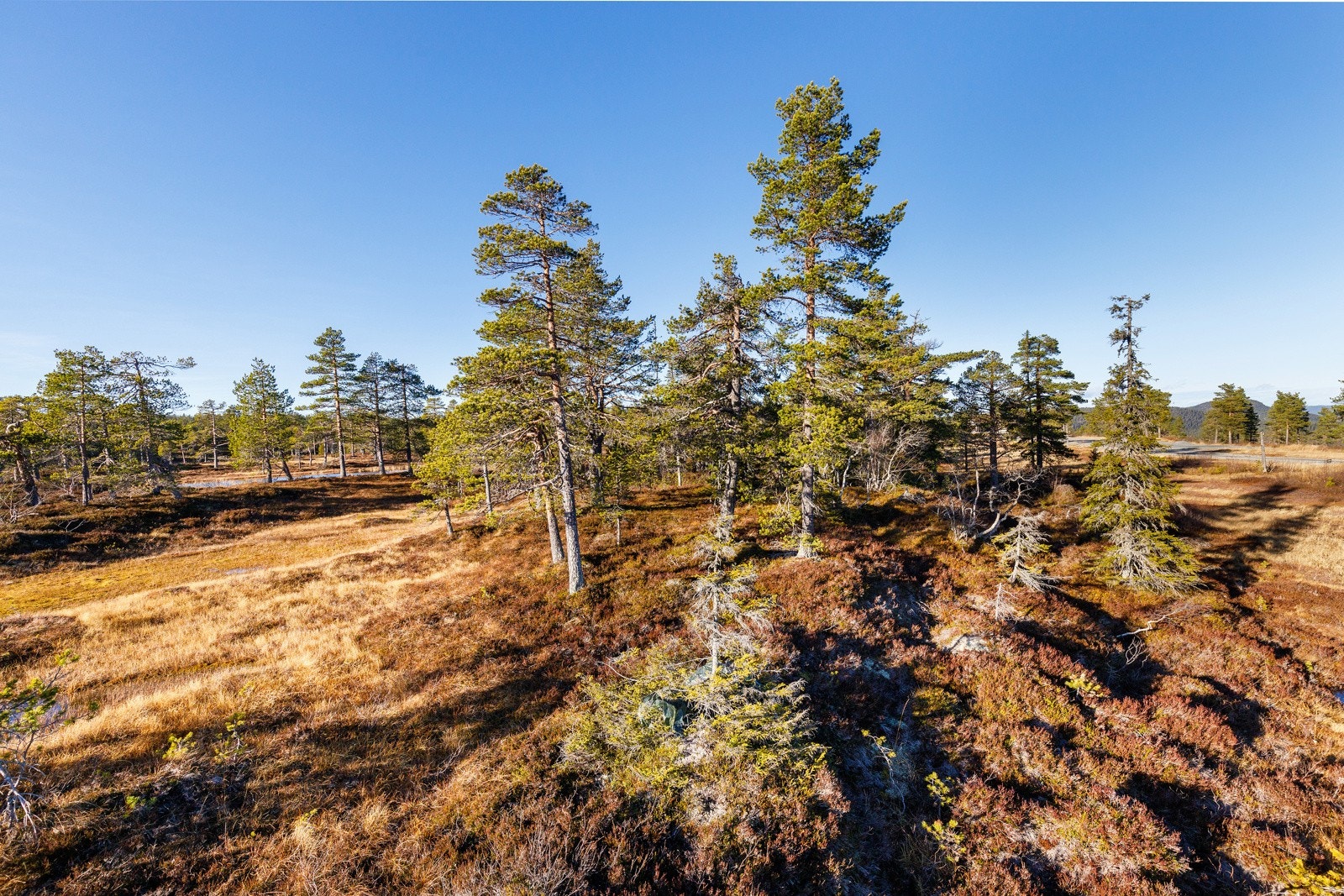 Reguleringsplanen tillater 120m2 hytte og 20m2 uthus. Galleribilde