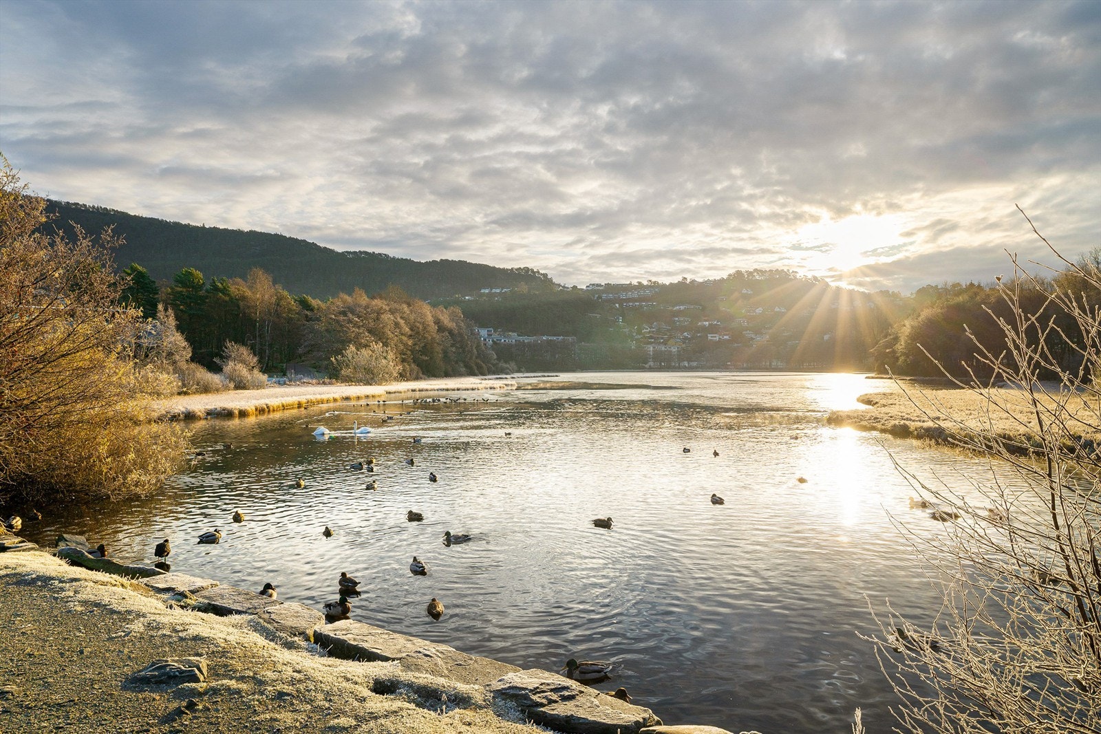Naturopplevelse ved Orrtuvatnet Galleribilde