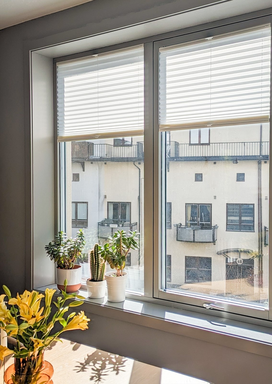 Plisé gardiner på de fleste vinduer medfølger leiligheten Galleribilde
