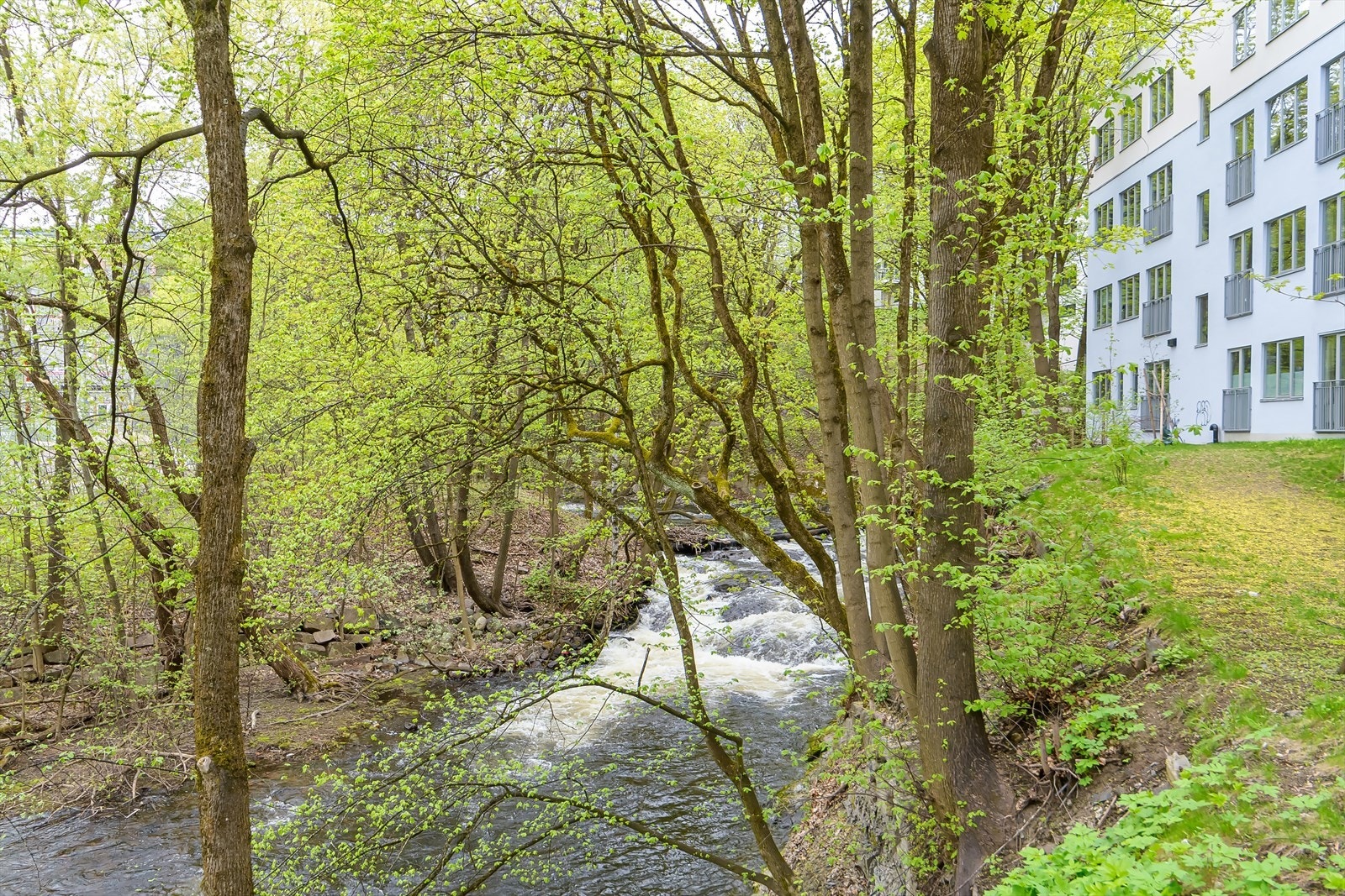 Idylliske Akerselva Galleribilde