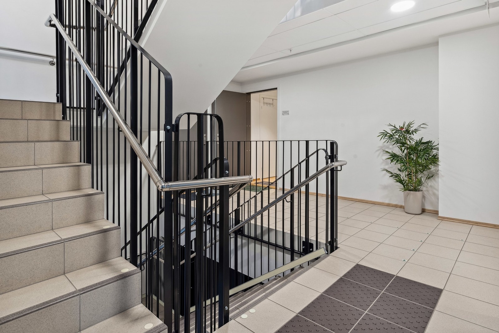 Felles trappeganger Galleribilde