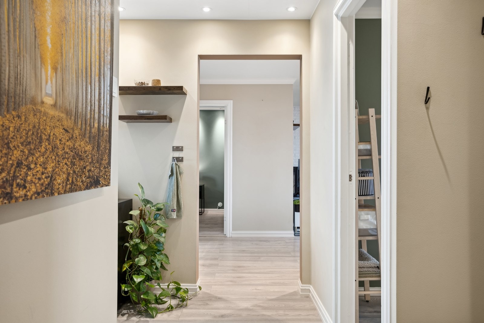 Entré/gang med plass til sko og yttertøy. Galleribilde