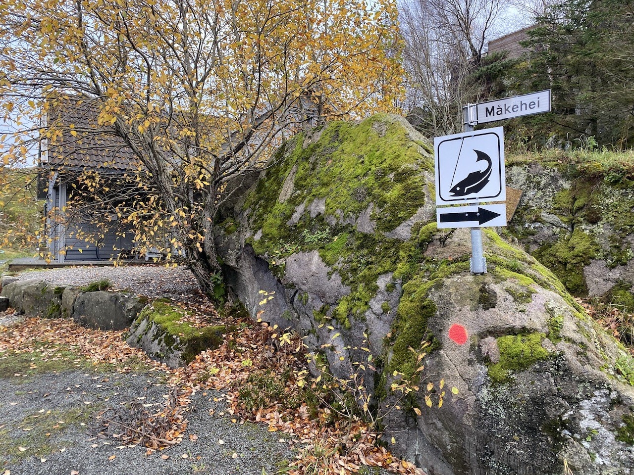 Snarvei til fiskeplass Galleribilde