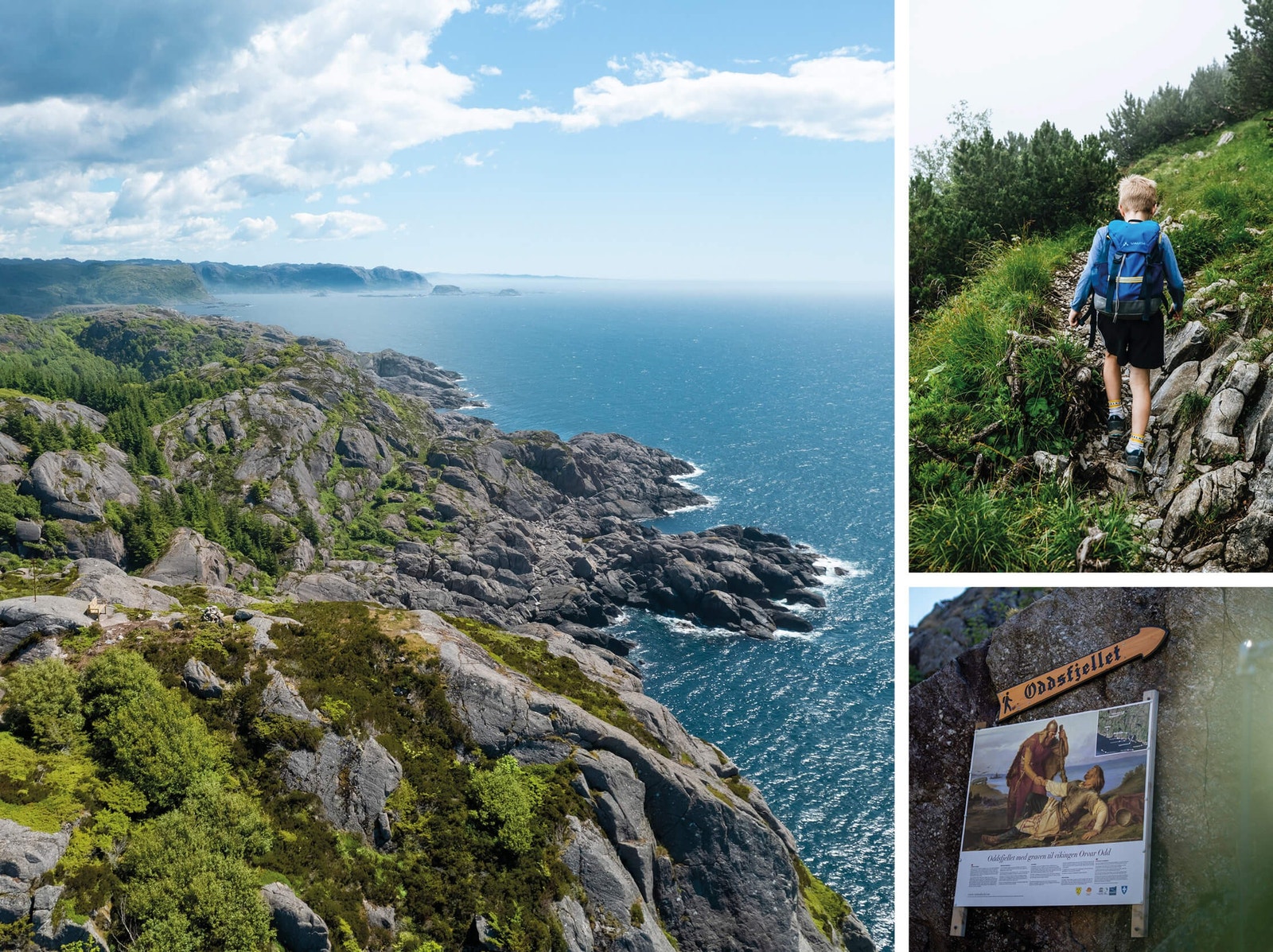 Det "berømte" Oddsfjellet Galleribilde