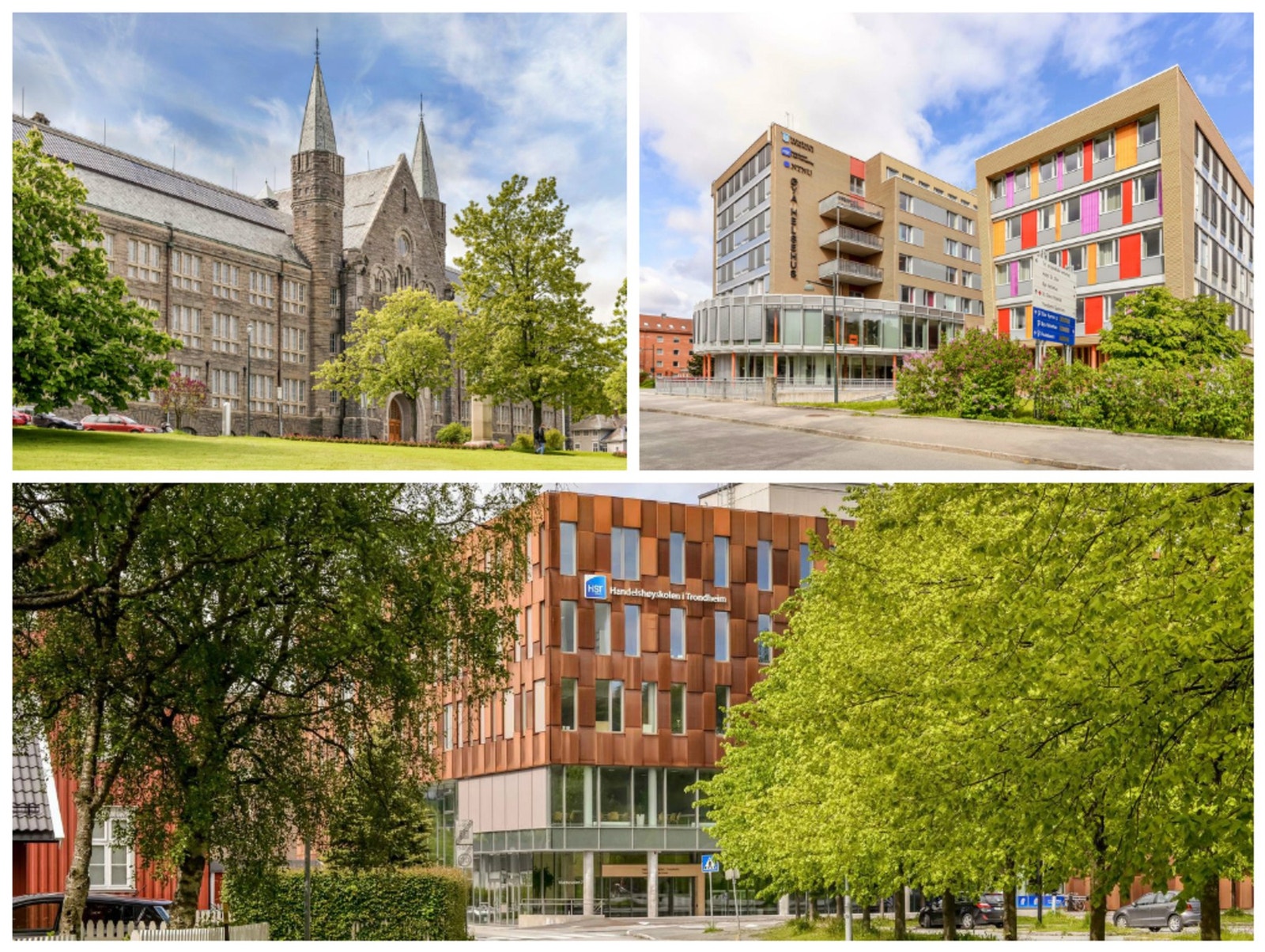 Nærhet til de fleste utdanningsinstitusjoner i Trondheim. Galleribilde