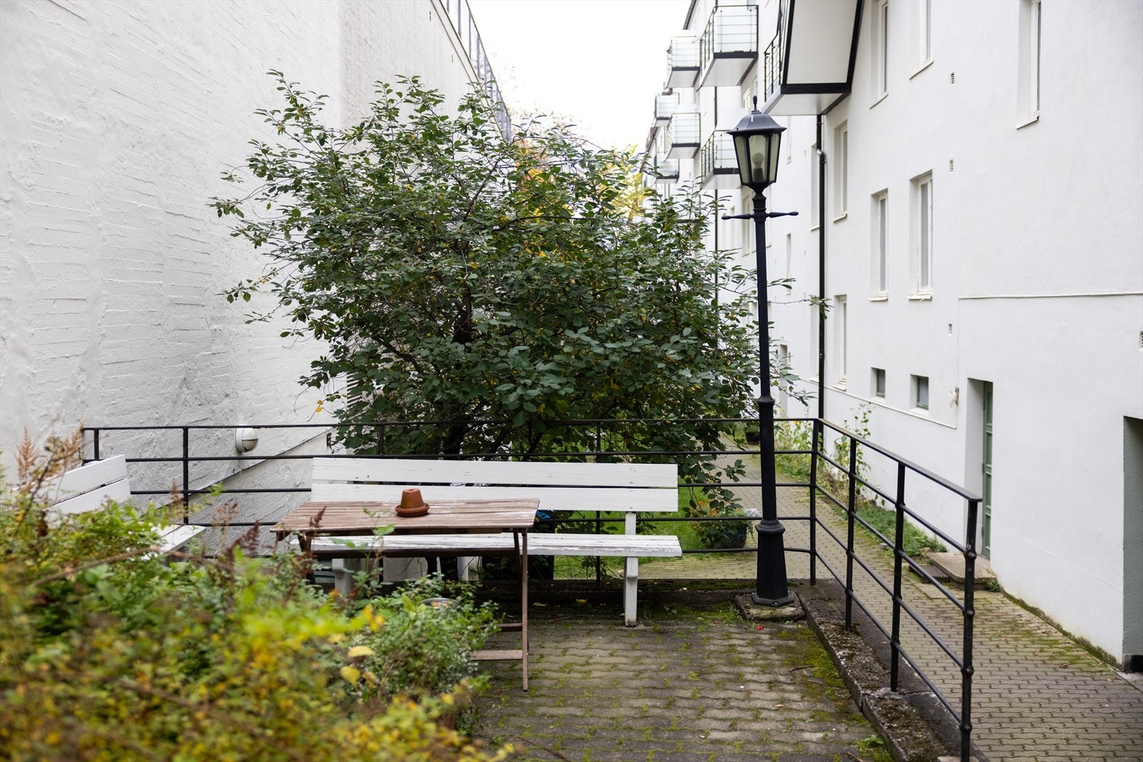 - Bakgård - Galleribilde