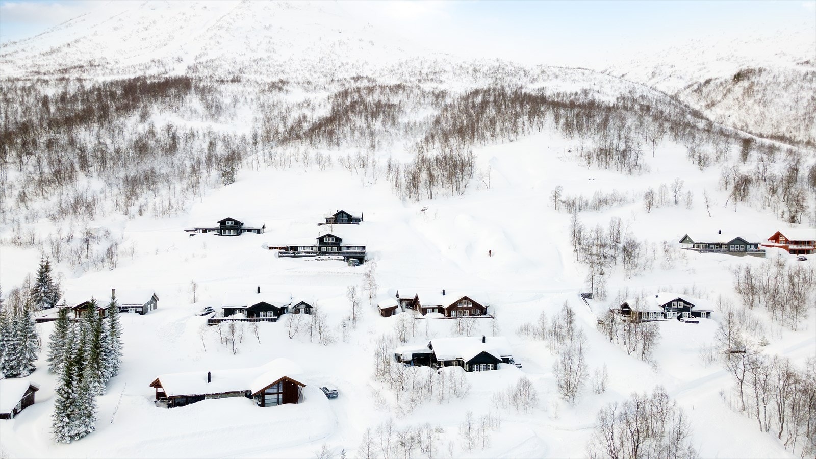 Her nyter den høy og fri beliggenhet med gode sol- og utsiktsforhold Galleribilde