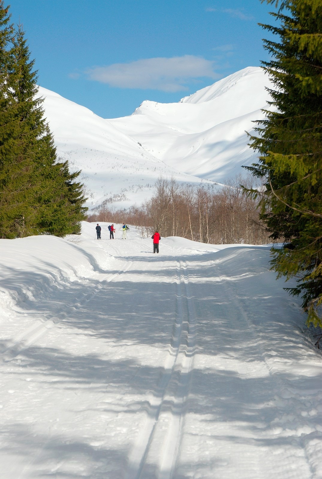 Gode langrennsmuligheter. Galleribilde