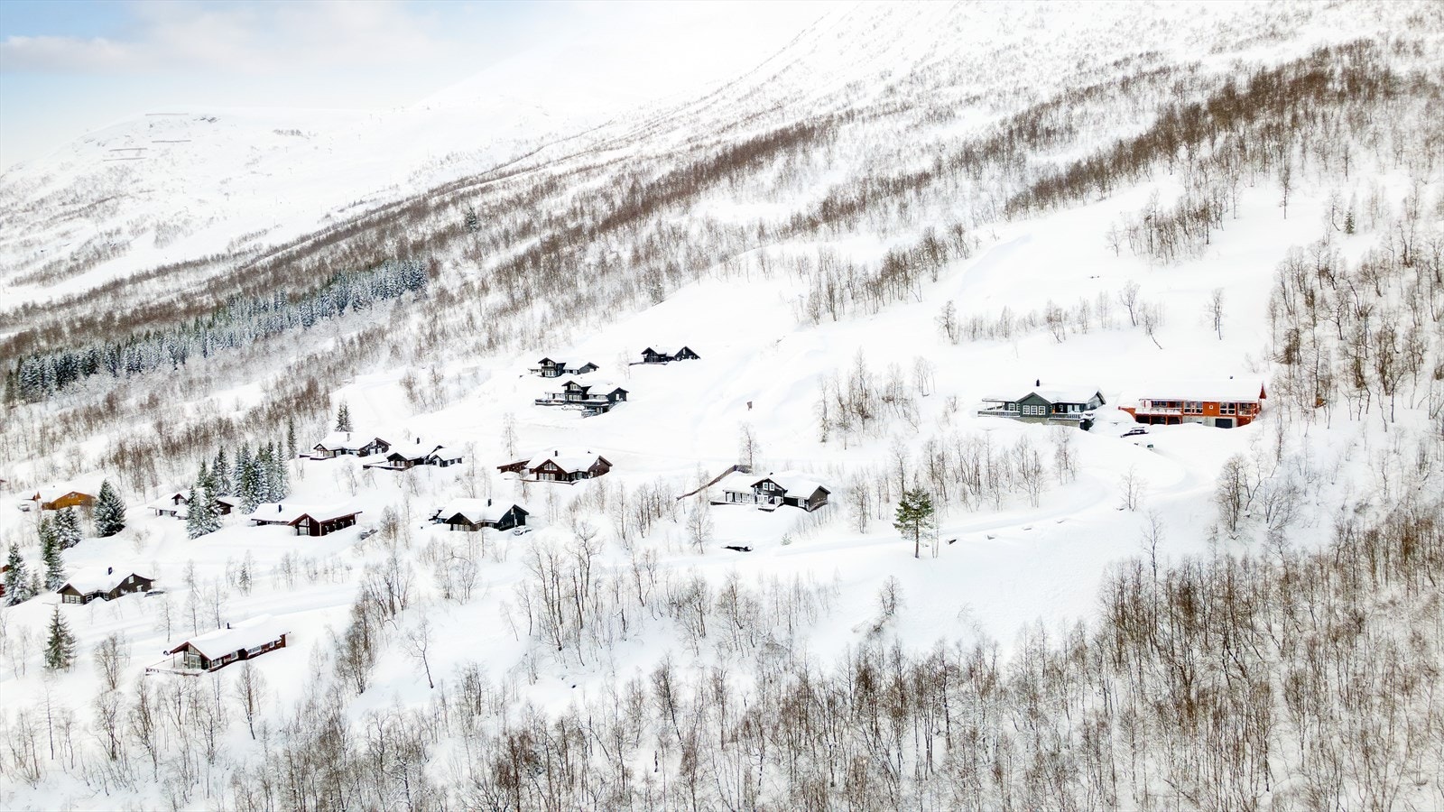 Tomten ligger i lett skrånende terreng Galleribilde