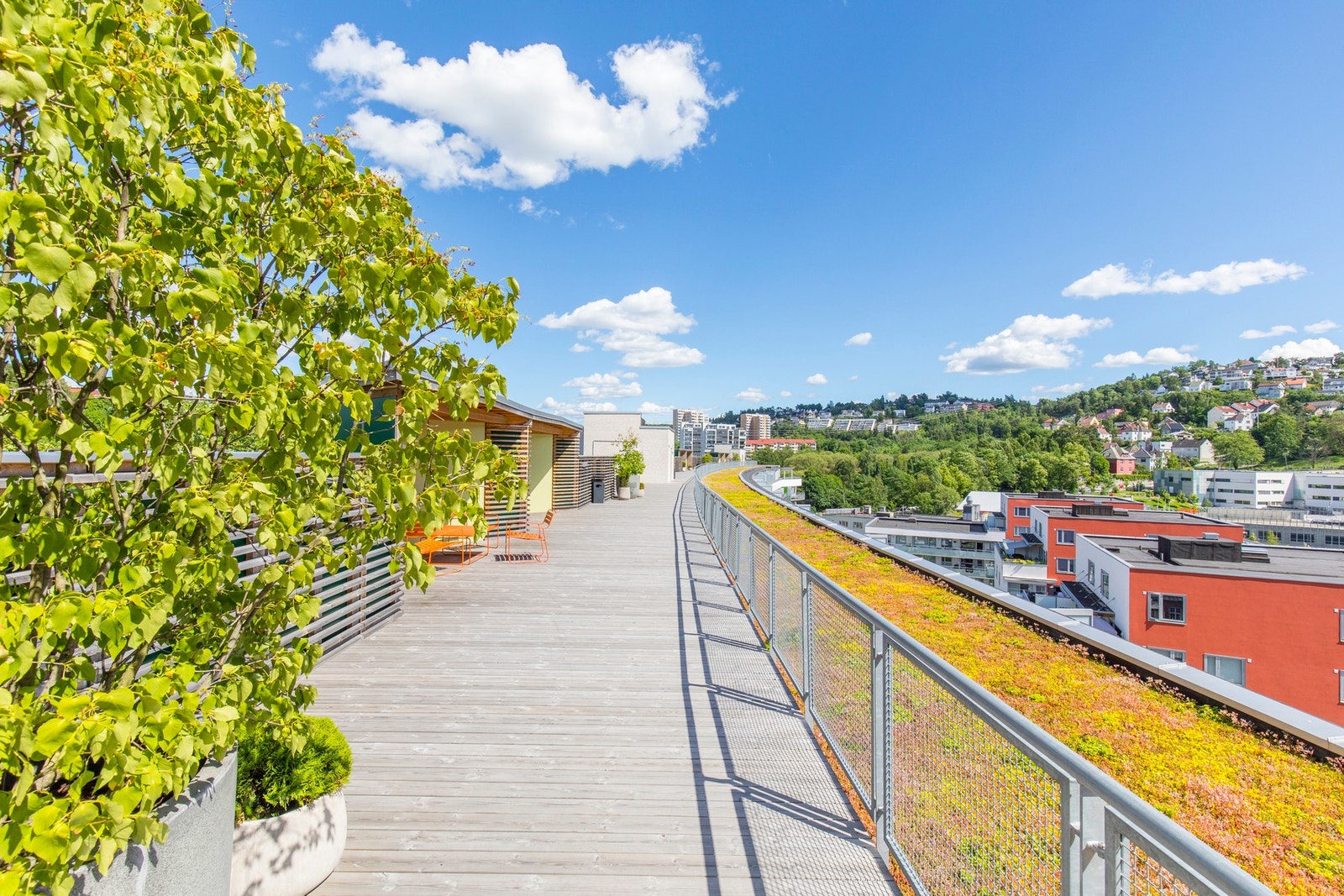 Borettslaget har en flott og frodig takterrasse. Galleribilde