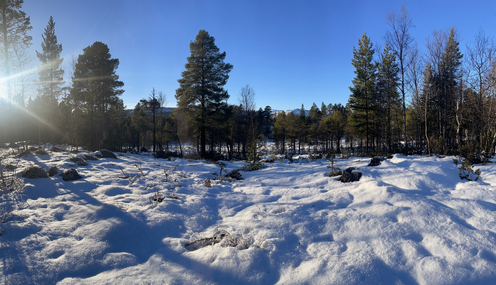 Hæverstølåsen Hyttefelt Galleribilde