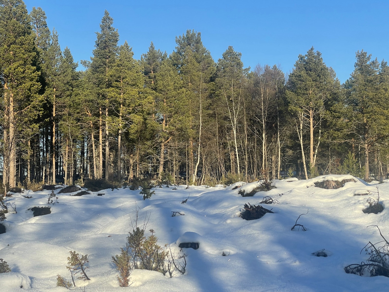 Hæverstølåsen Hyttefelt Galleribilde