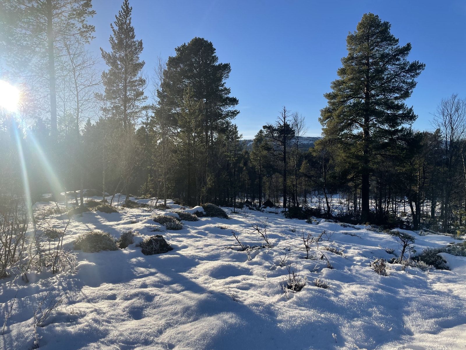 Hæverstølåsen Hyttefelt Galleribilde