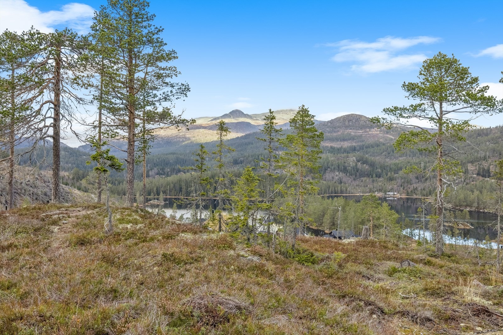 På vinterstid er det oppkjørte skiløyper som kobler seg på løypenettet i Tuddal. Her er det flere ulike rundløyper å velge i. Galleribilde