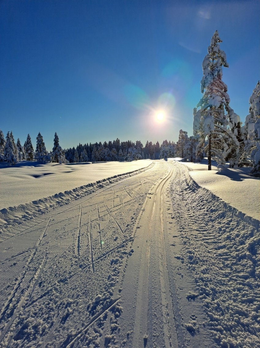 Flott skiløype like nedenfor hytta Galleribilde