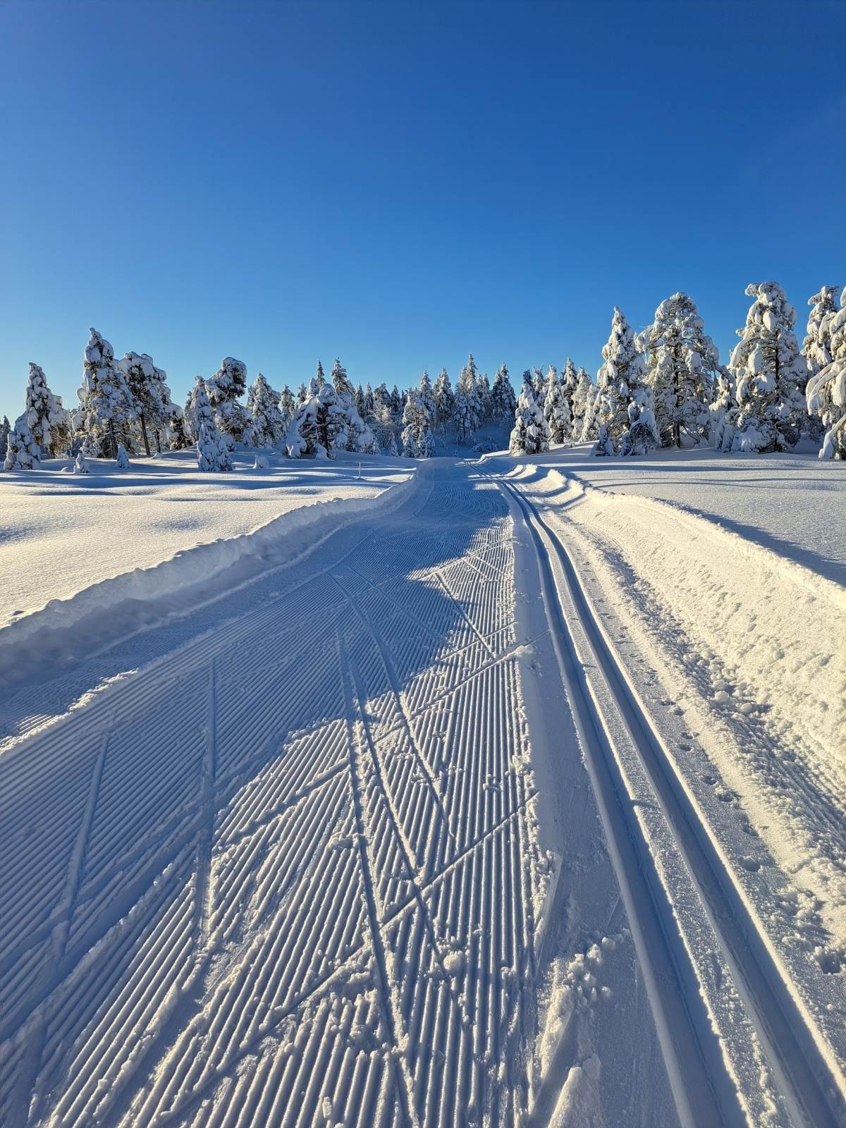 Det kjøres opp ca 2,5 mil med skiløyper i området Galleribilde
