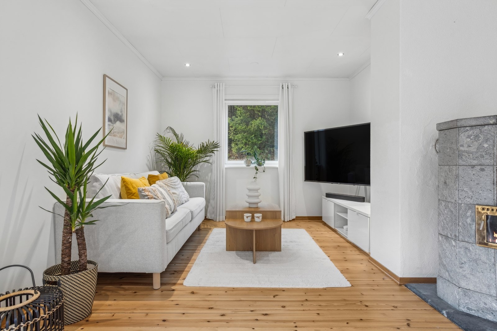 Koselig Tv-stuedel. Galleribilde