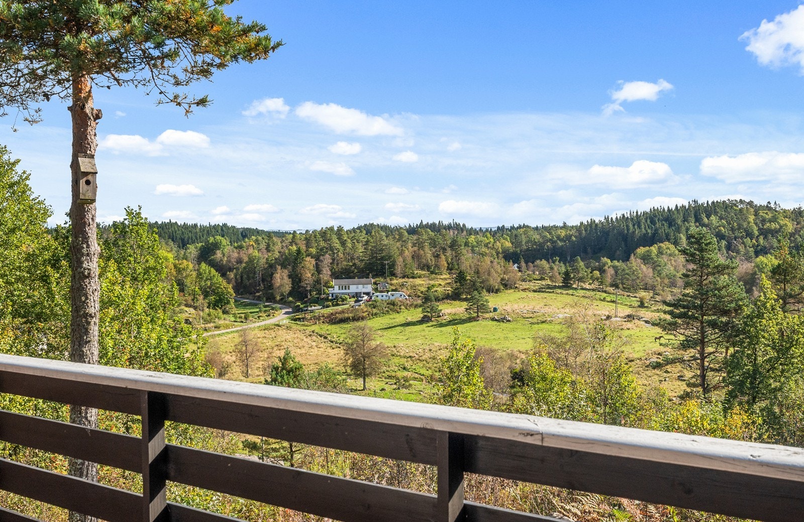 Flott utsikt fra verandaen Galleribilde