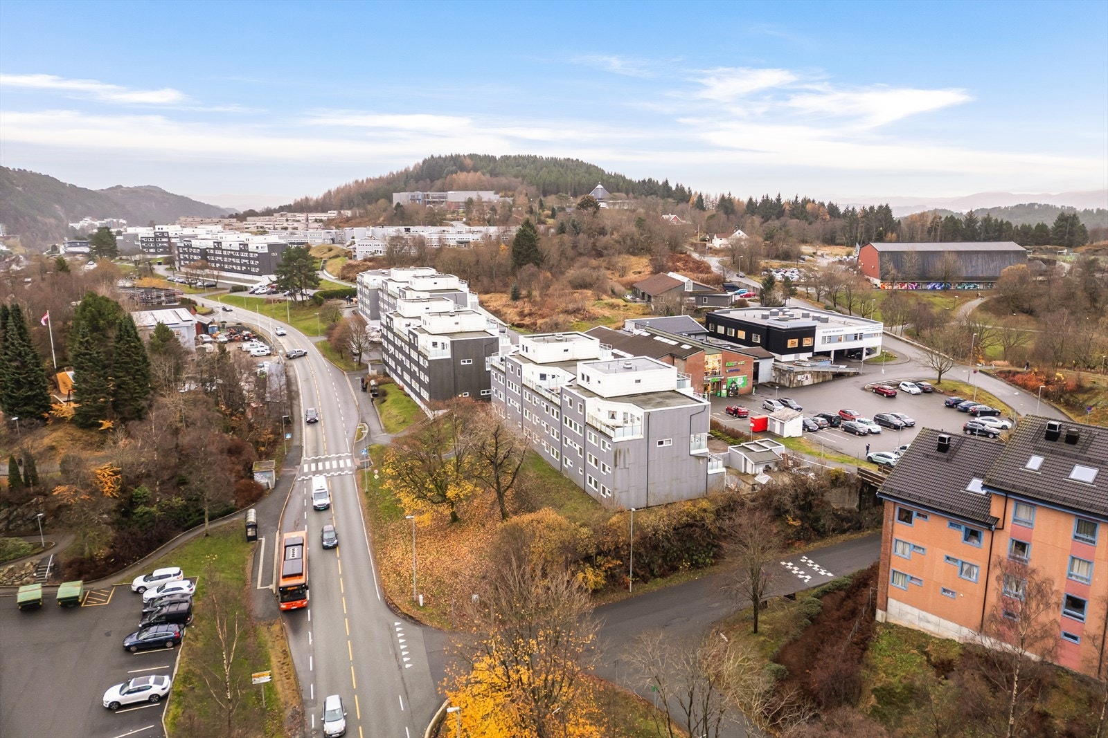 Dronefoto Galleribilde
