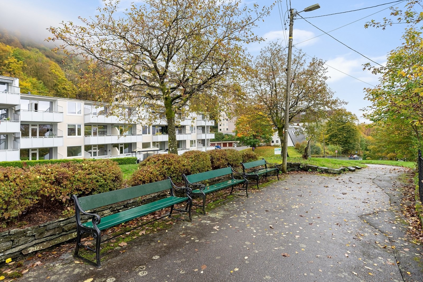 Nærområdet Galleribilde