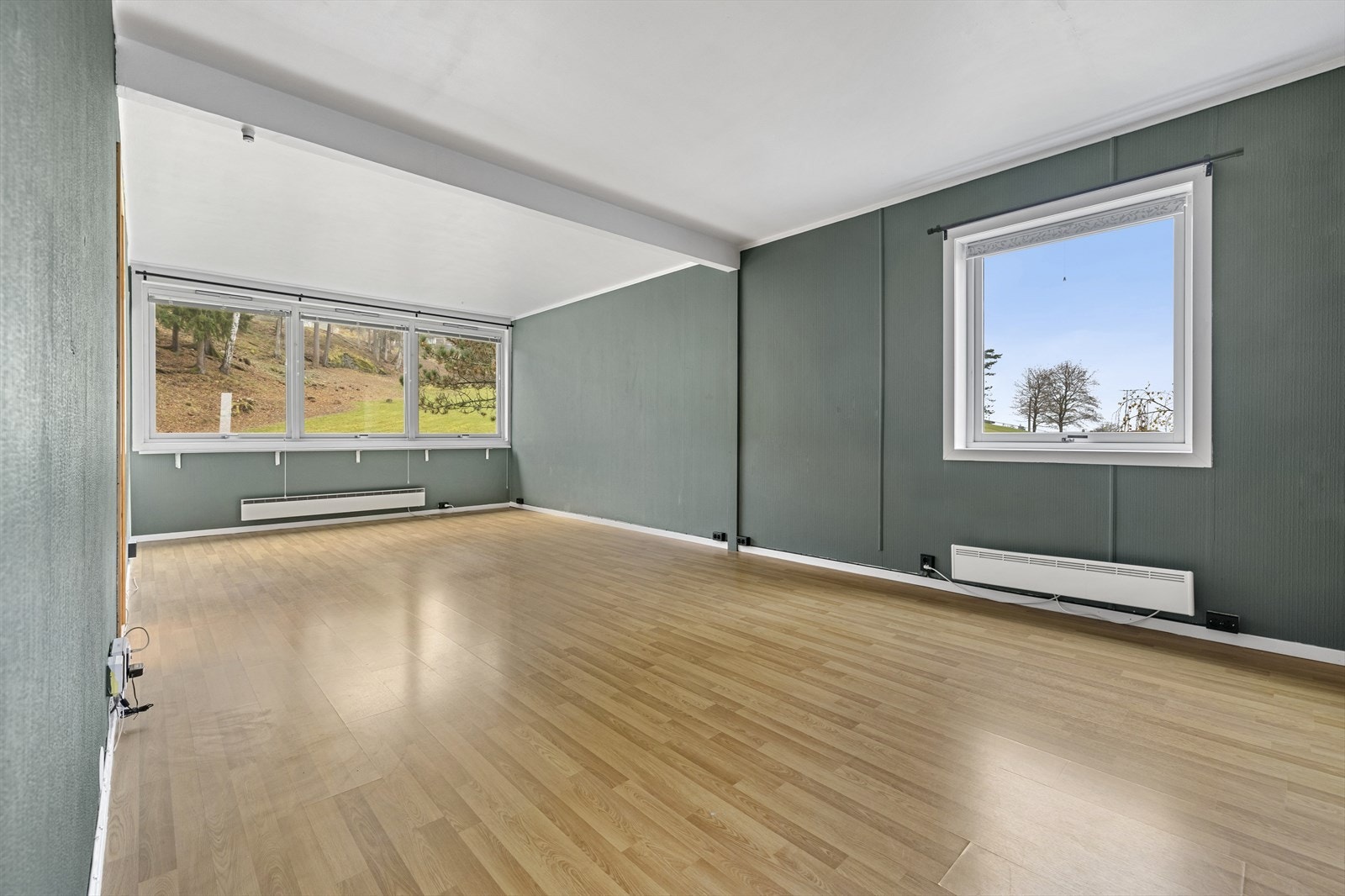 Svært romslig stue med flere møbleringsmuligheter. Galleribilde