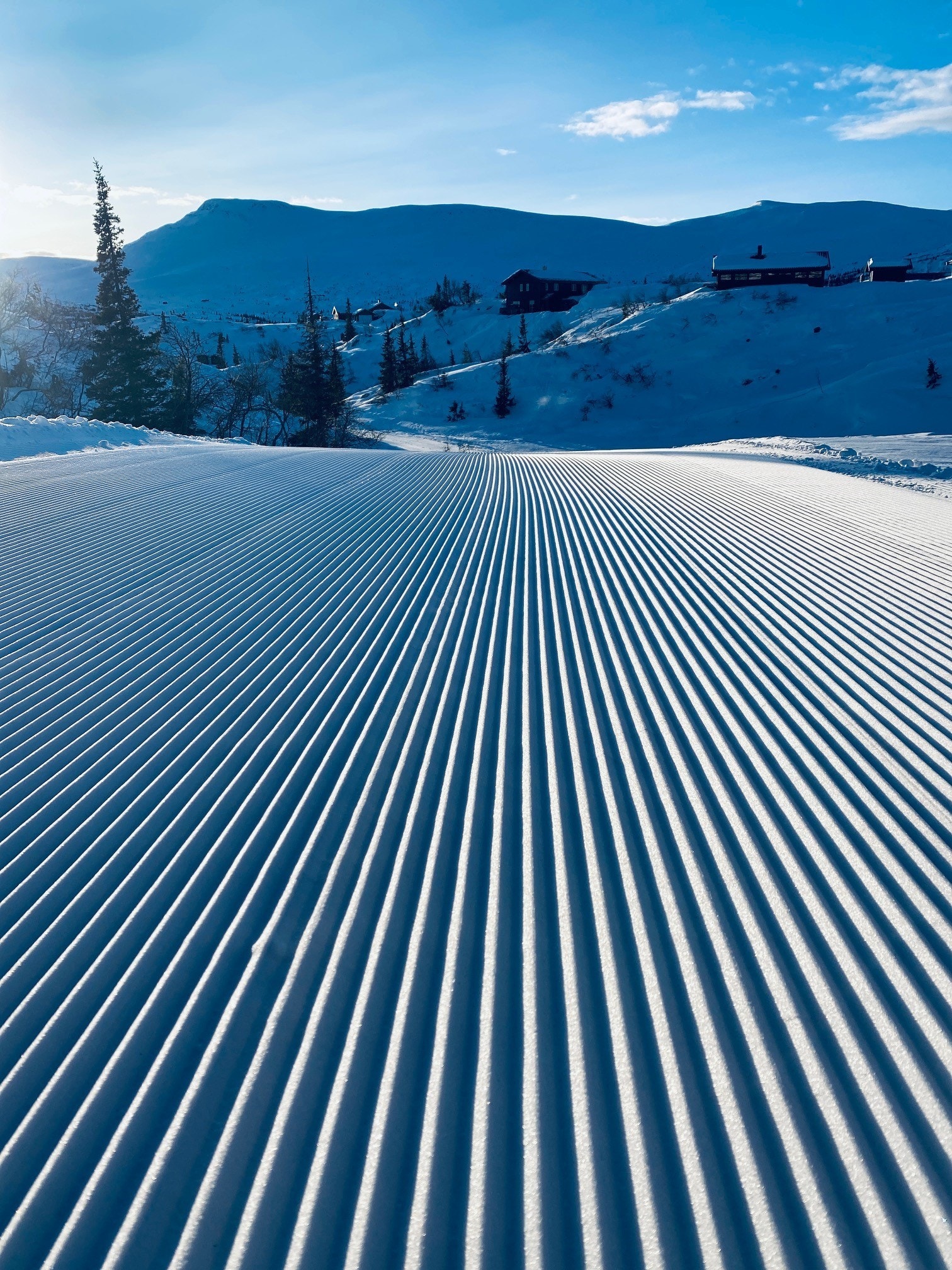 Høgevarde fjellpark Galleribilde