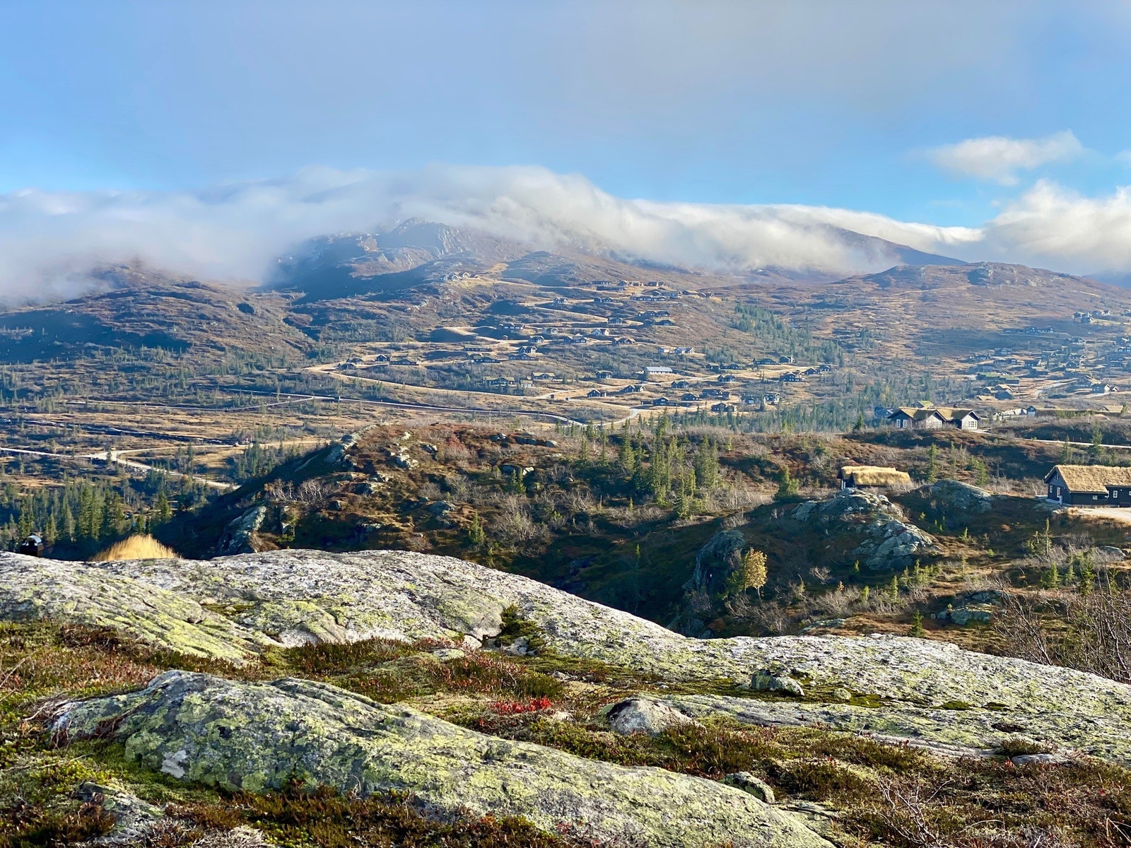 Utsikt fra tomten Galleribilde