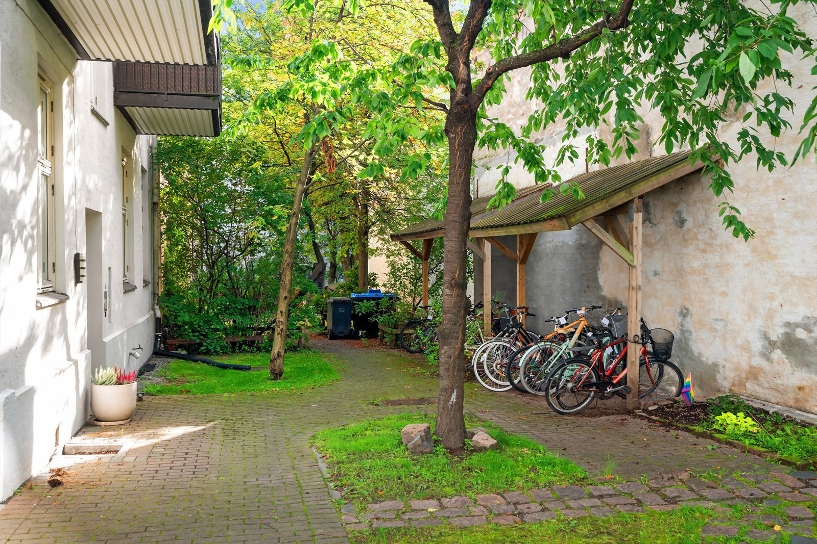 Hyggelig og frodig bakgård med sykkelstativ etc. Galleribilde