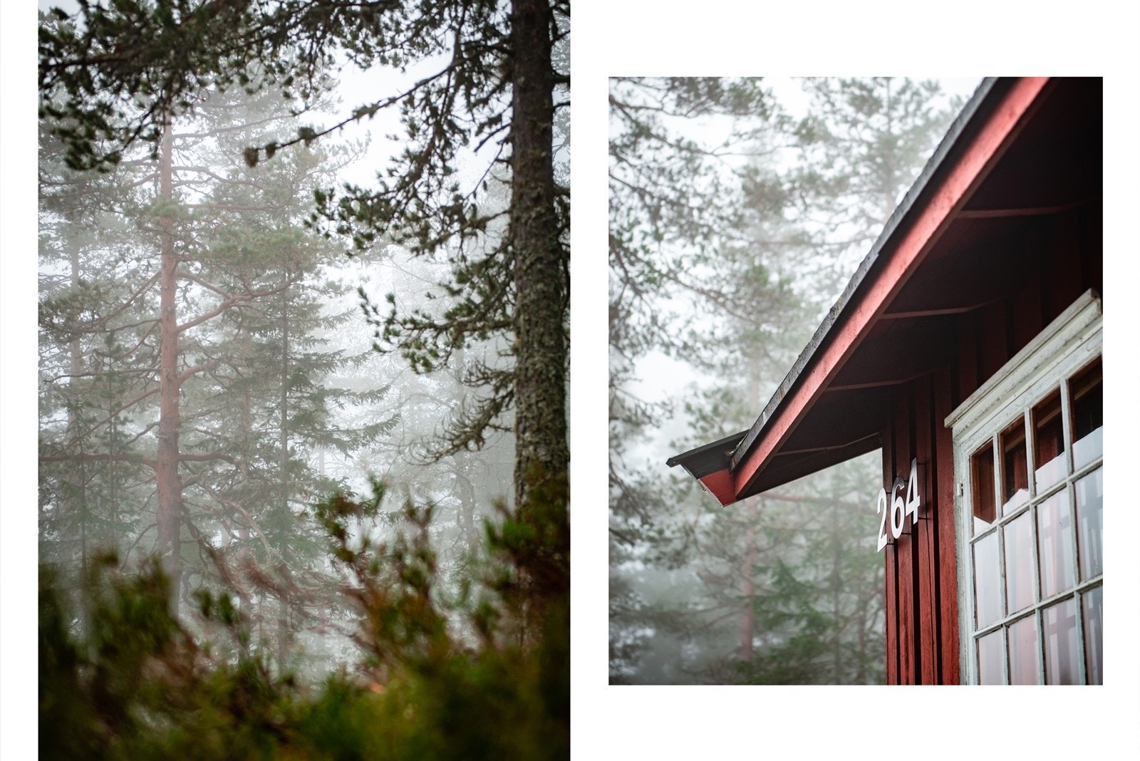 Trollskt landskap i fjellet Galleribilde