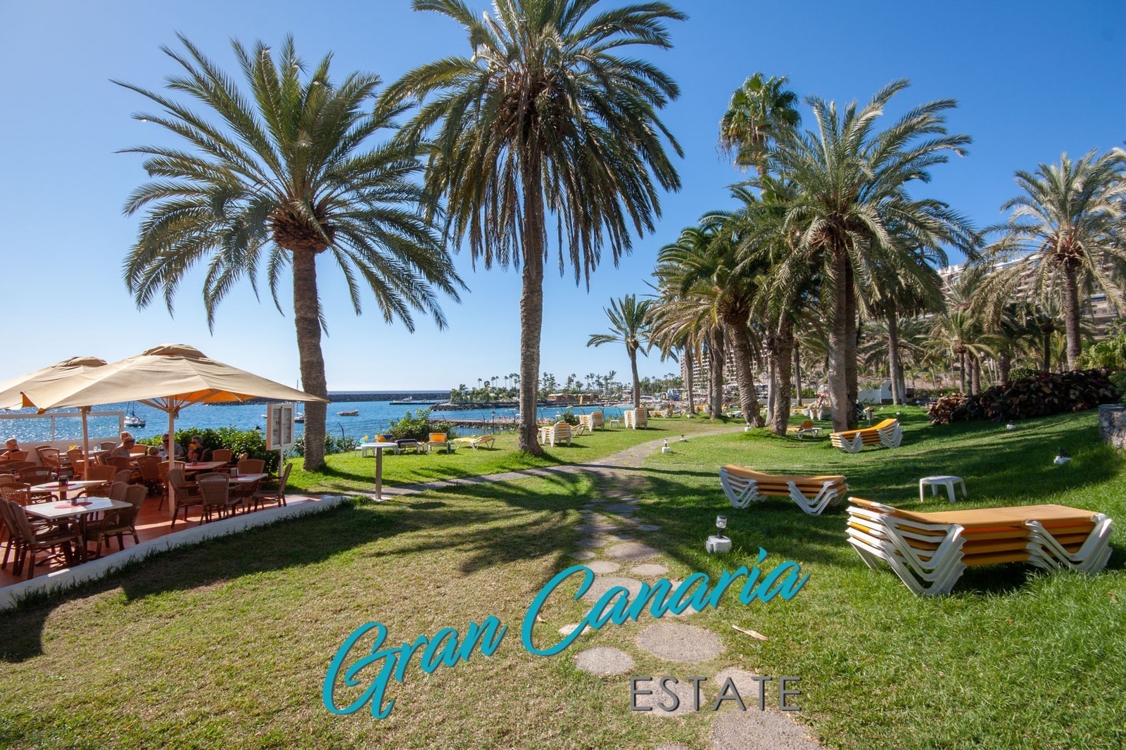 Tropisk hage Galleribilde