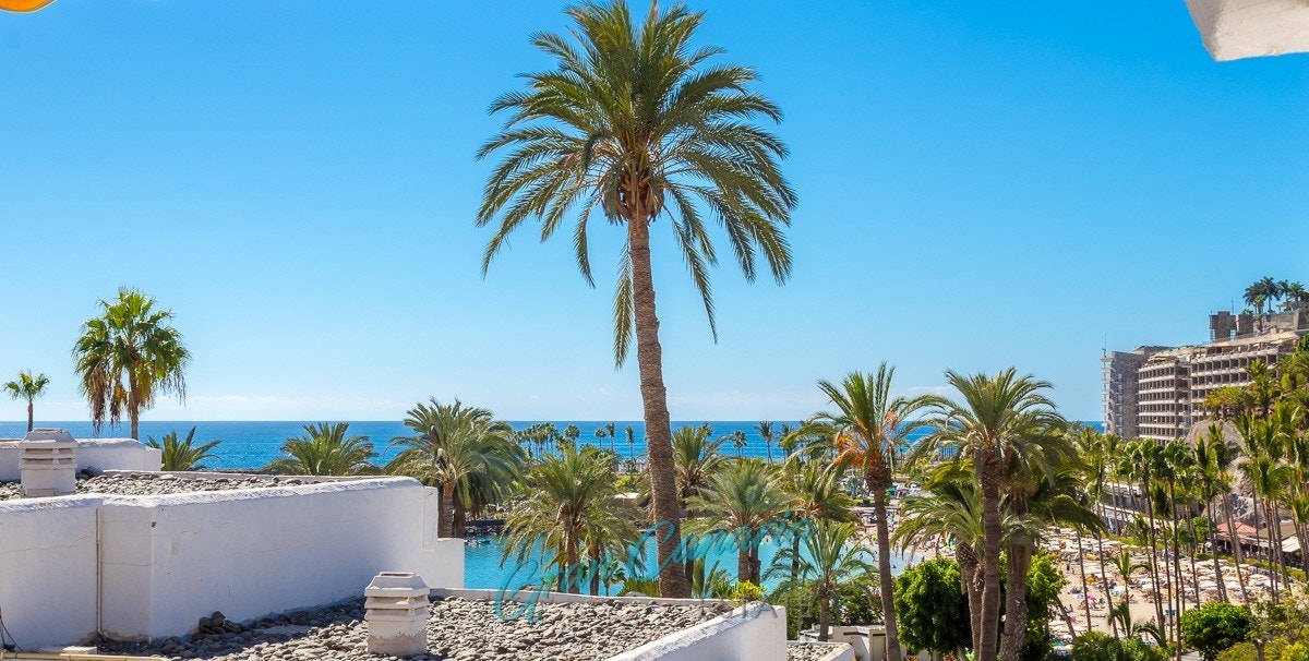 Utsikt fra terrassen Galleribilde