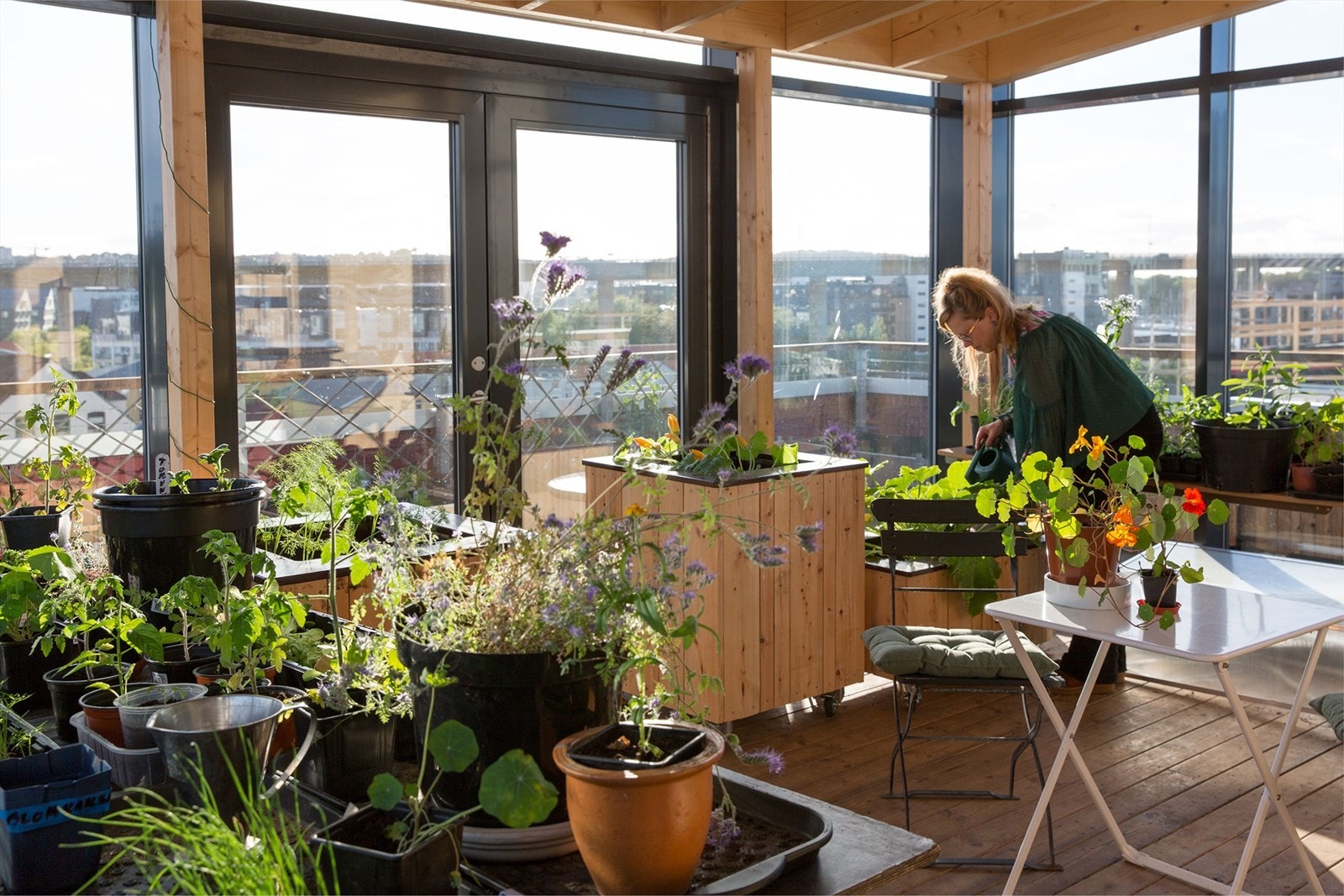 I felles veksthuset kan du bli med og dyrke planter, urter og lidenskapen for alt som gror Galleribilde