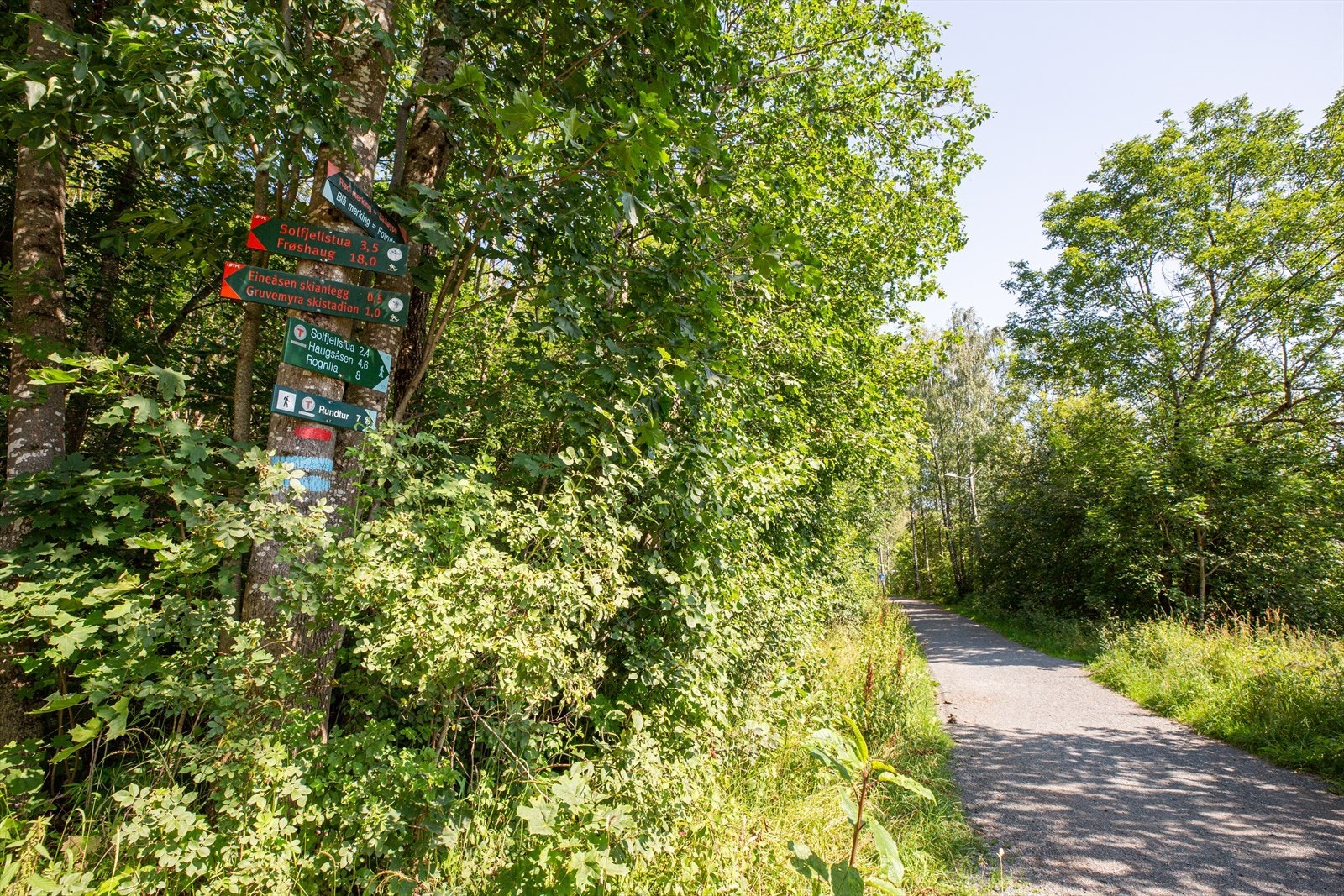 Nydelige turområder sommer som vinter ved Eineåsen. .jpg Galleribilde