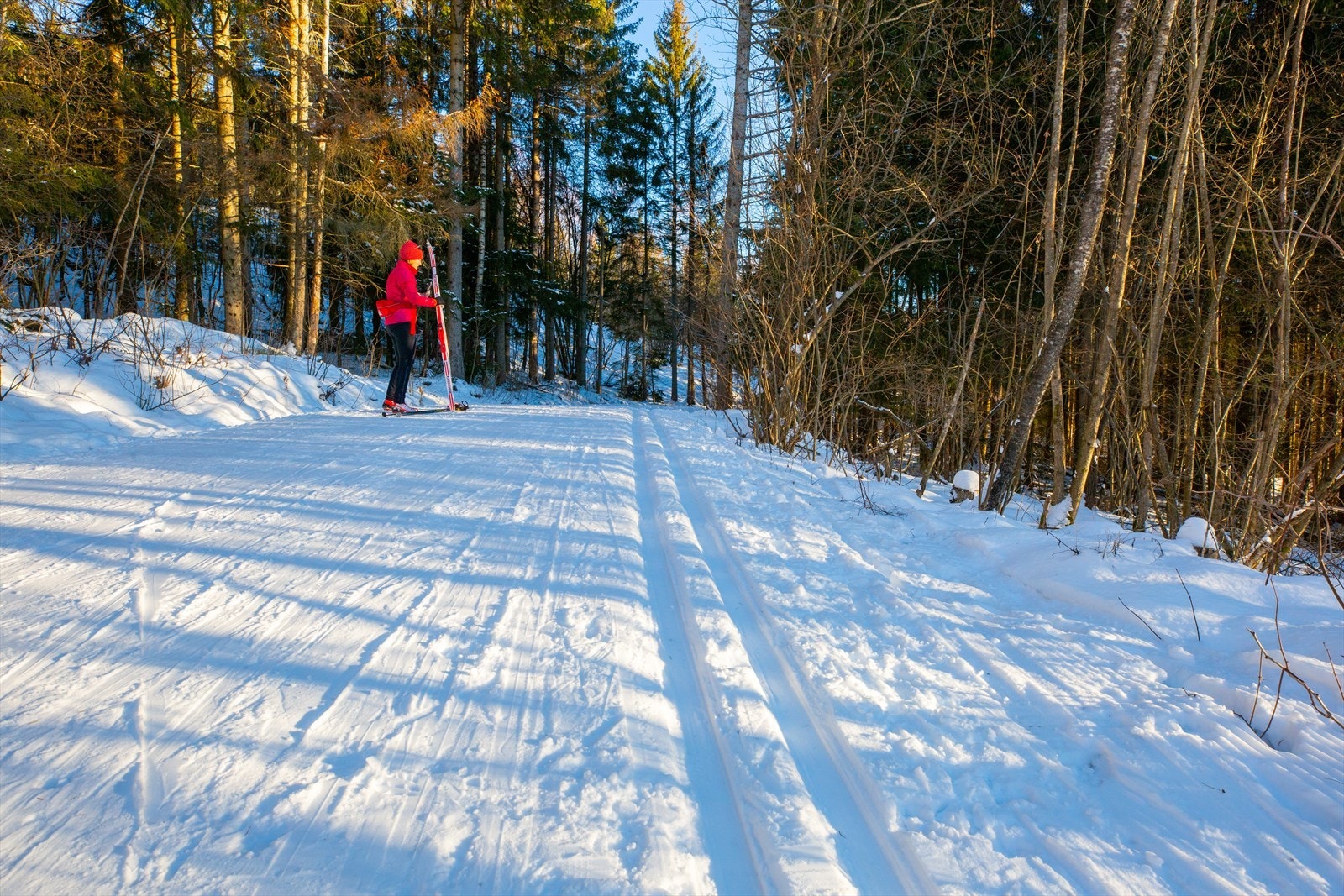 I nærmiljø finner du idylliske friområder ved Eineåsen med flotte preparerte skiløyper om vinteren. Galleribilde