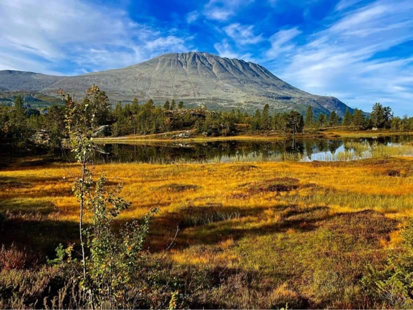 Fin til alle årstider! Galleribilde